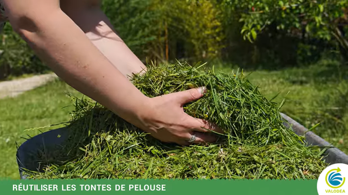 Screenshot 2025-10-27 at 08-28-05 Comment gérer les tontes de pelouse au lieu de les jeter - YouTube